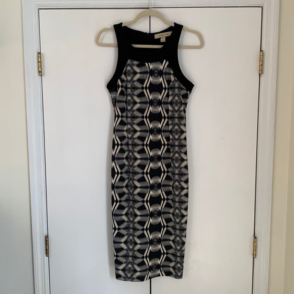 Black & White Fitted Dress